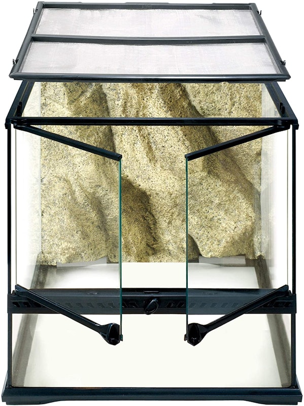 Glass Natural Terrarium 1