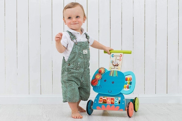Baby Walker 2