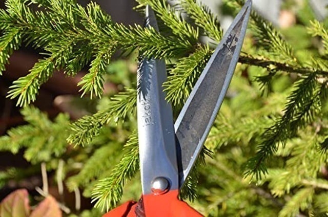 Hand Shears 2