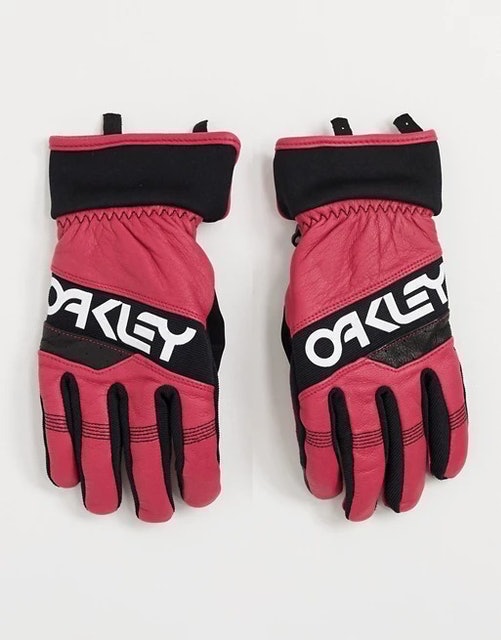 Winter 2.0 Ski Gloves 1