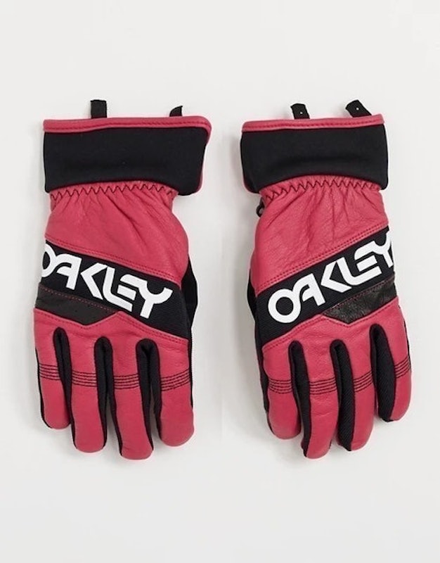 Winter 2.0 Ski Gloves 1