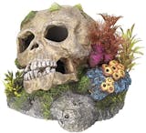 10 Best Fish Tank Ornaments 2024 | UK Veterinarian Reviewed 4
