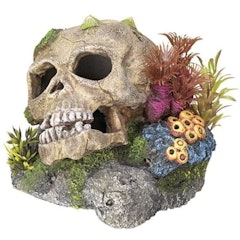 Fish Tank Skull Ornament With Plants