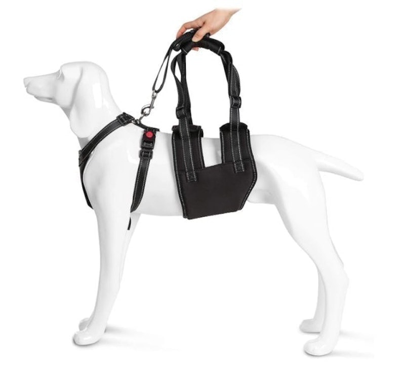 Dog Support Harness Set 1