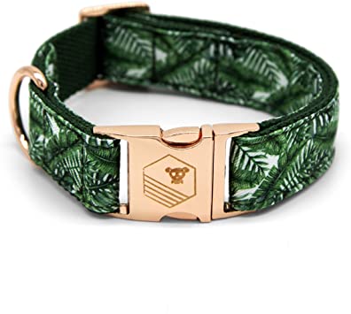 Vegan Leather Dog Collar 1