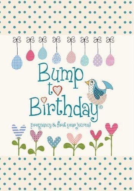 Bump to Birthday: Pregnancy and First Year Baby Journal 1
