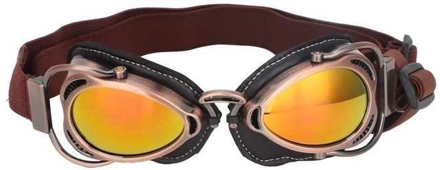 Dog UV Goggles  1