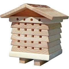 Solitary Bee Hive