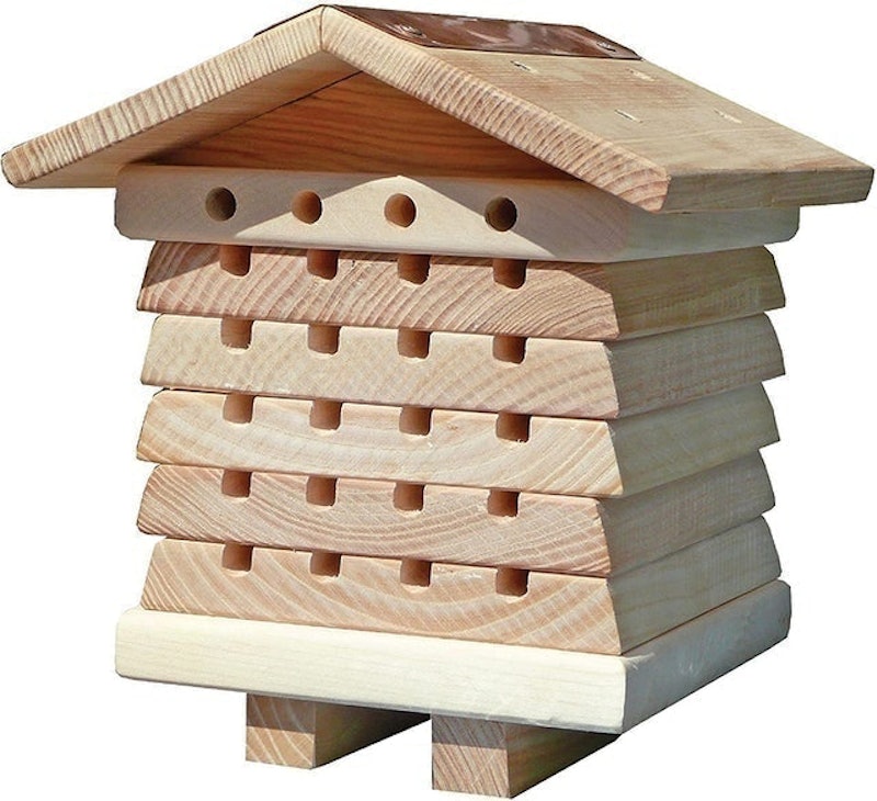Solitary Bee Hive 1