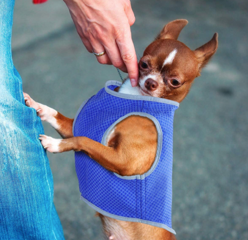 Dog Cooling Vest 2