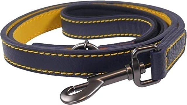 Navy Leather Lead 1