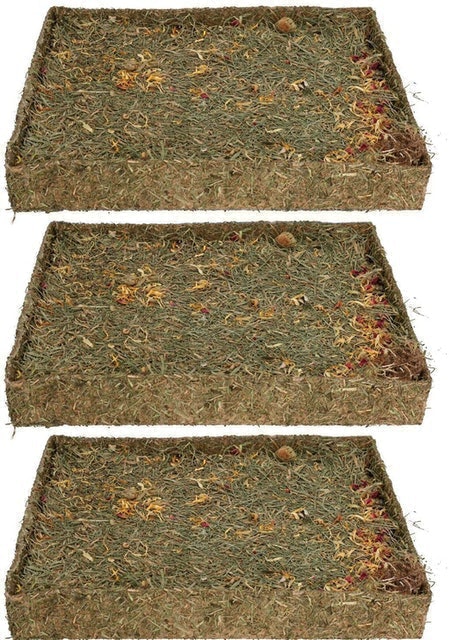 10 Best Toys for Rabbits 2024 | UK Veterinarian Reviewed 2