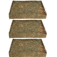 Small Animal Pet Treat Rabbit Nibble 'N' Dig Meadow