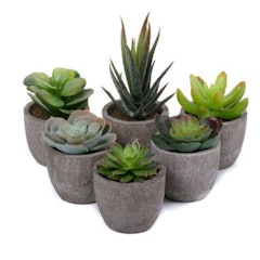 1. T4U Artificial Succulent Plants Pack of 6
