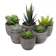 T4U 1. T4U Artificial Succulent Plants Pack of 6 1