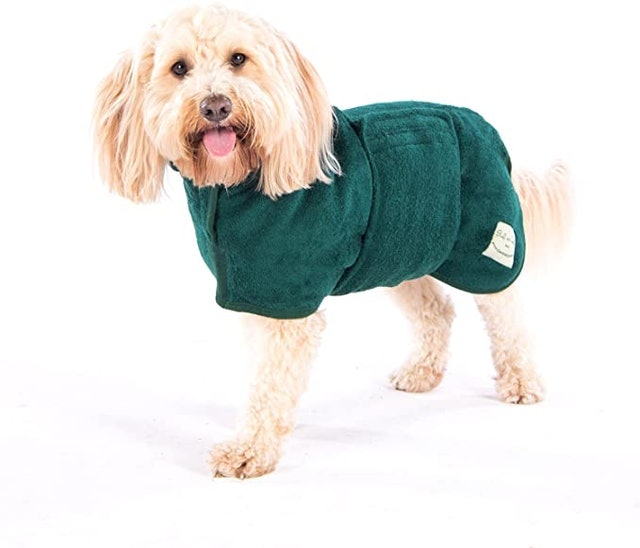 10 Best Dog Coats UK 2024 5