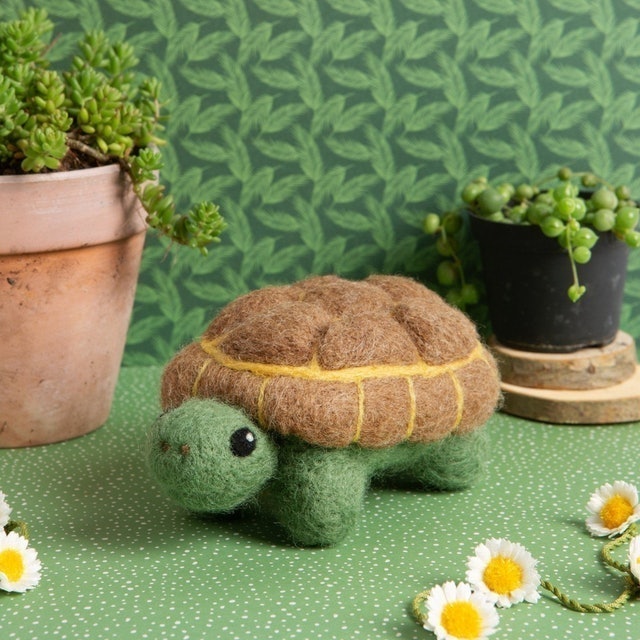 Tortoise Needle Felting Kit 2