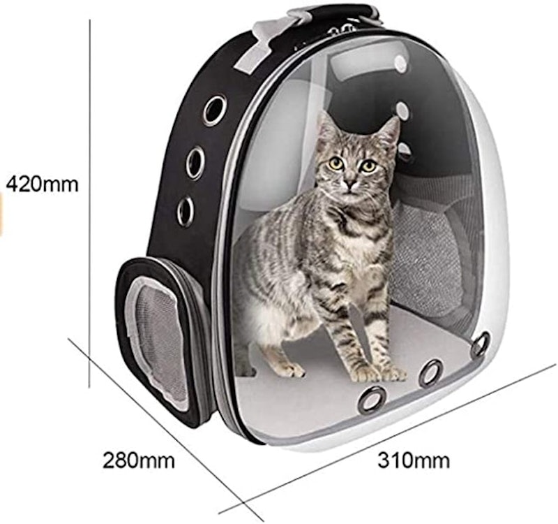 Cat Backpack Carrier 2