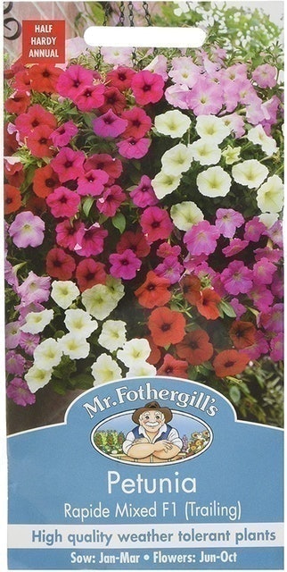 10 Best Easy To Grow Flower Seeds UK 2024 | Mr Fothergill's, Suttons and More 3
