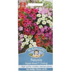 Trailing Rapide Petunia Mixed Flower Seeds