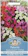 Mr Fothergill's Trailing Rapide Petunia Mixed Flower Seeds 1