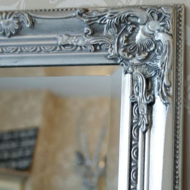 Tall Silver Ornate Mirror 2