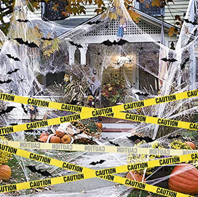 Halloween Spider Web Decorations  2