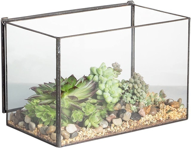 10 Best Terrarium Containers UK 2024 3