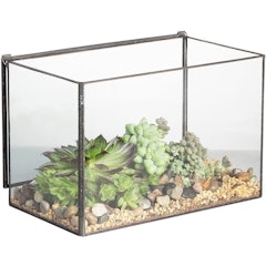 Geometric Terrarium Box With Lid