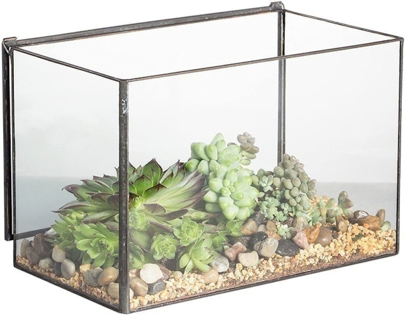 Geometric Terrarium Box With Lid 1