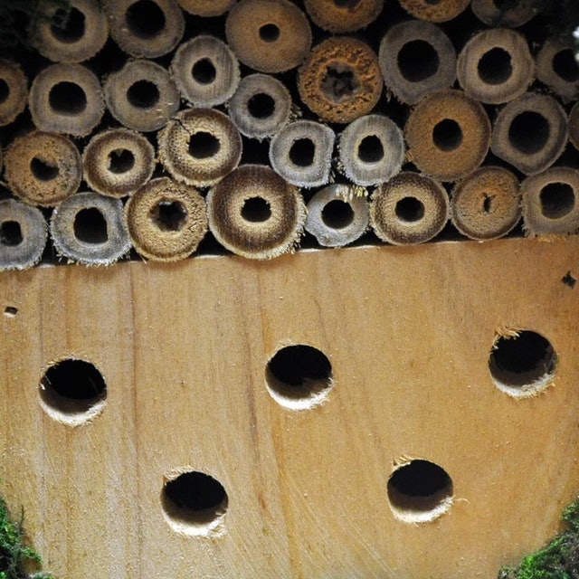Wooden Insect and Bee Hotel 3