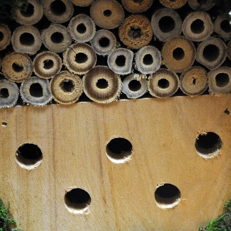 Wooden Insect and Bee Hotel 3