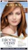 Clairol Nice’n Easy Permanent Hair Dye 1