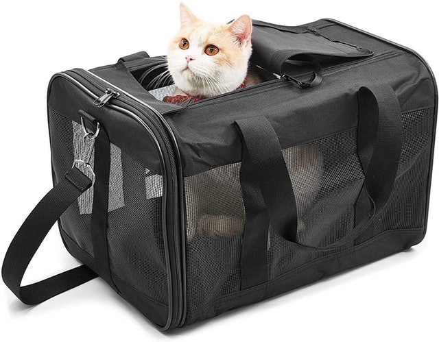 Best soft cat carrier sale