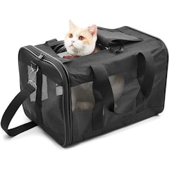 Soft Sided Cat Travel Carrier