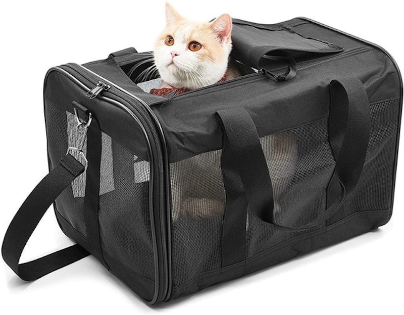 Soft Sided Cat Travel Carrier 1