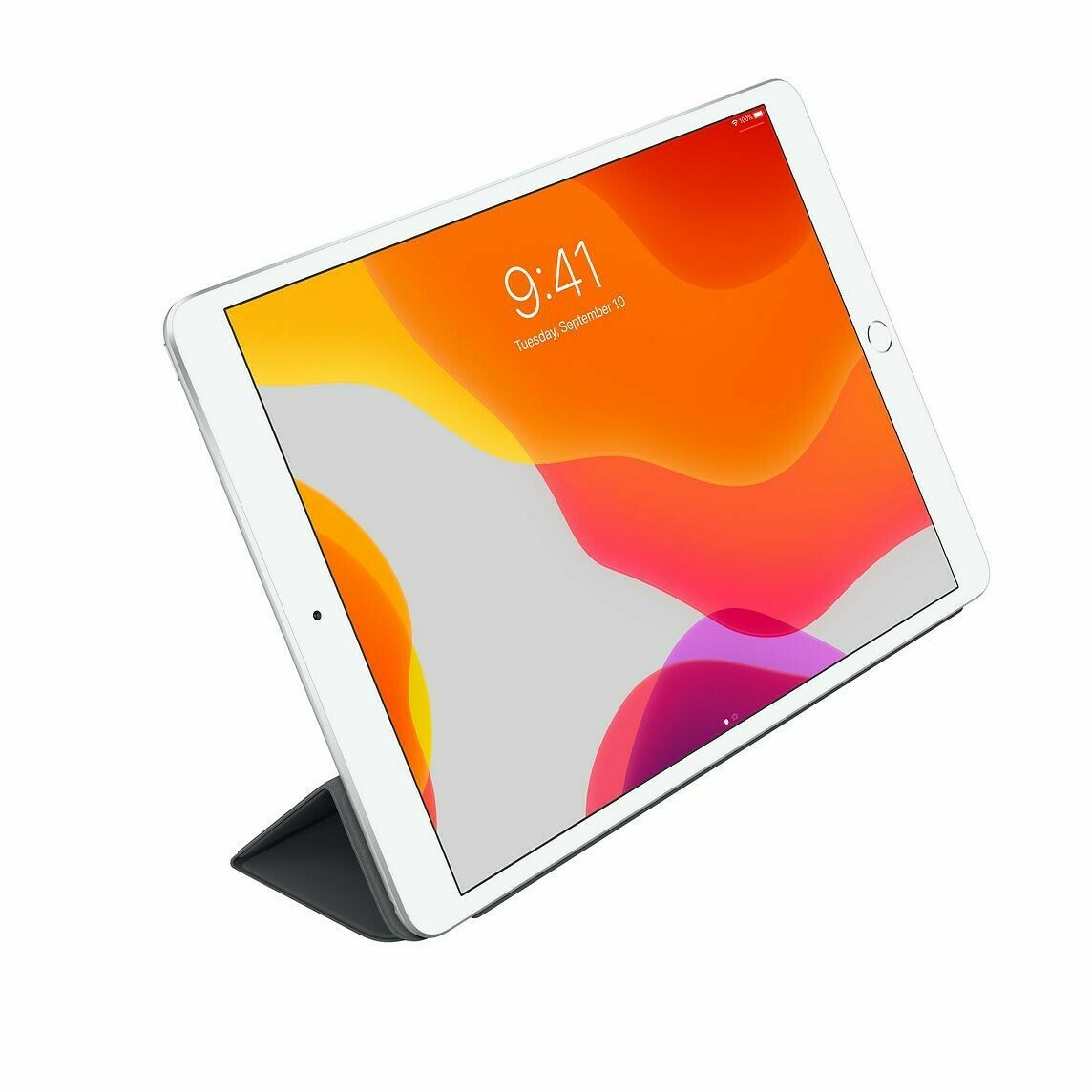 Smart Case 2
