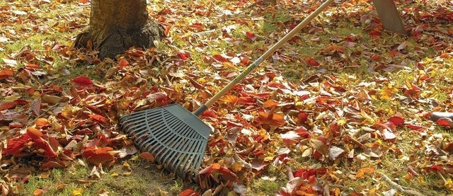 Plastic Leaf Rake 2