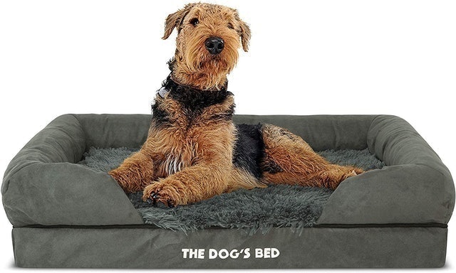 10 Best Waterproof Dog Beds UK 2024  | Danish Design, Bunty and More 3