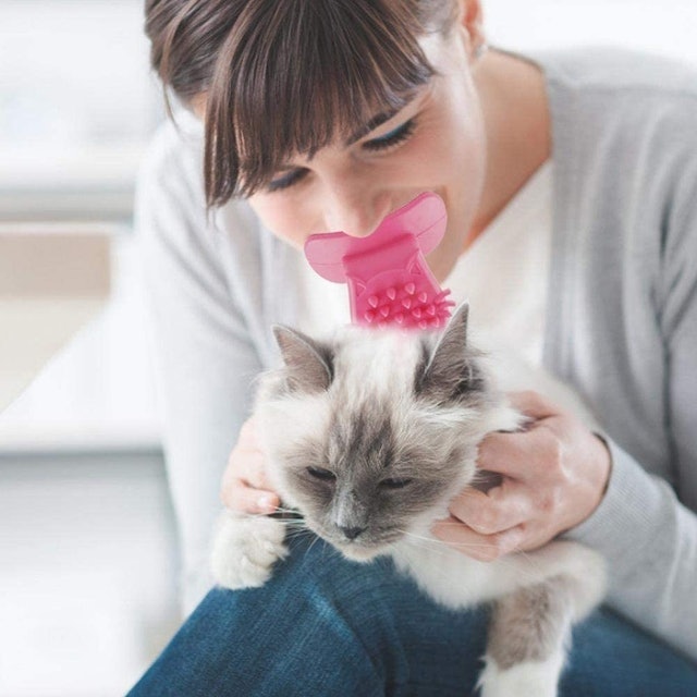 Cat Tongue Brush 2