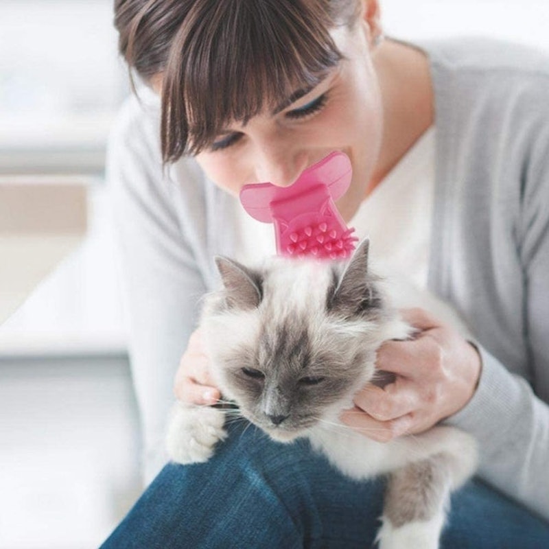 Cat Tongue Brush 2