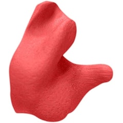 Custom Moulded Earplugs