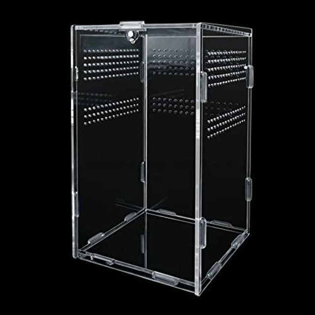 Reptile Terrarium Box 1