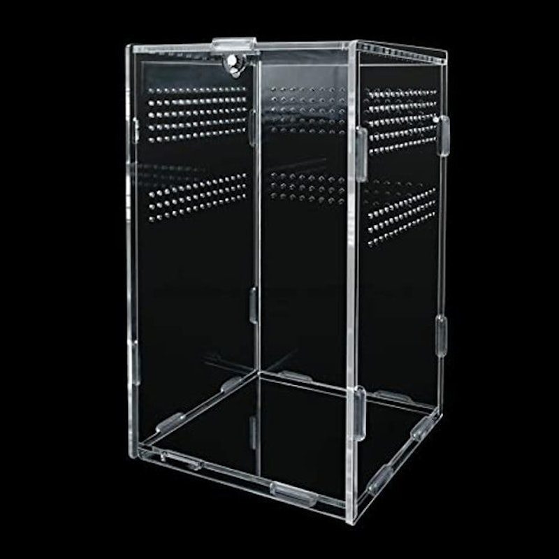 Reptile Terrarium Box 1