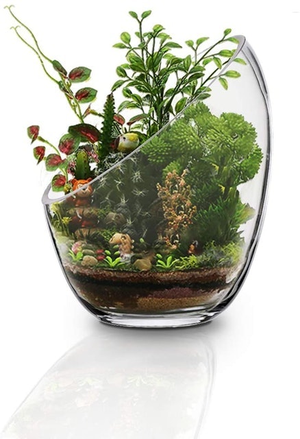 Large Clear Fish Bowl 1
