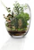 MornBee Large Clear Fish Bowl 1