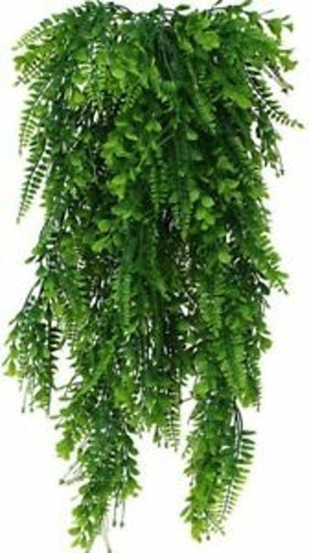 Fake Fern Plants 1