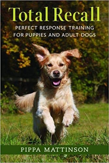 10 Best Books About Dogs UK 2024 | Cesar Millan, Kerry Irving and More 2