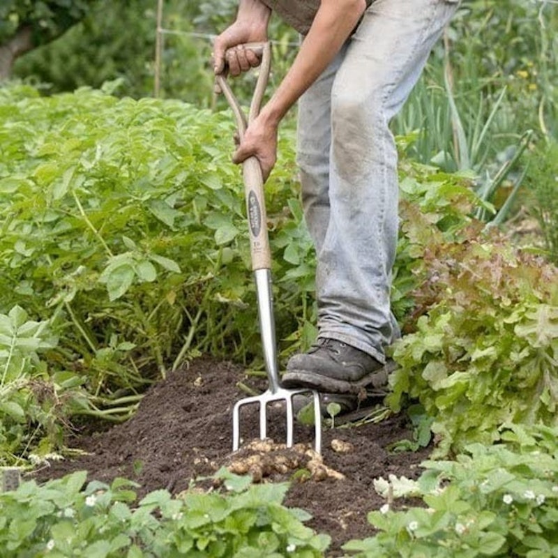 Traditional Digging Fork 2