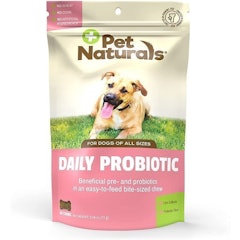 Daily Probiotic Digestive Health Supplement